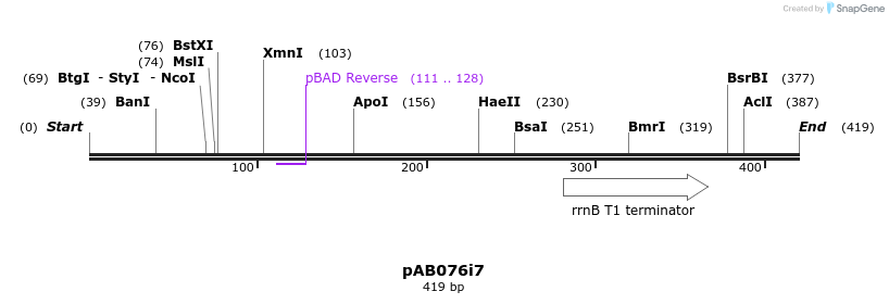 151099_map
