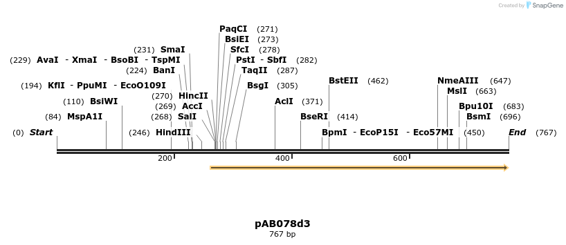 151105_map