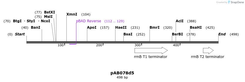 151121_map