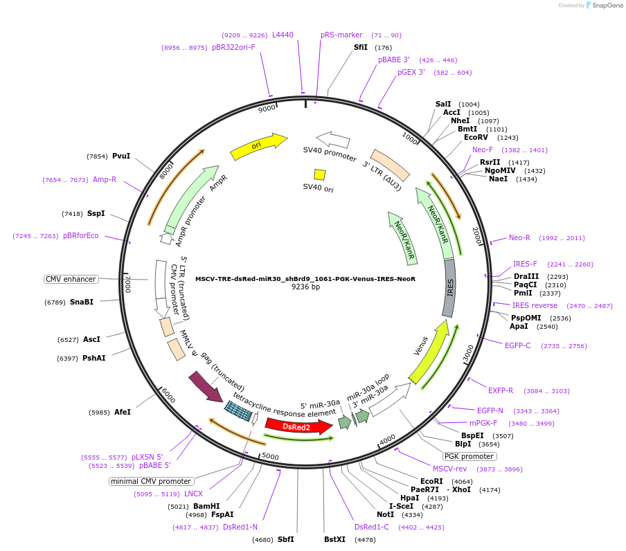 151124_map