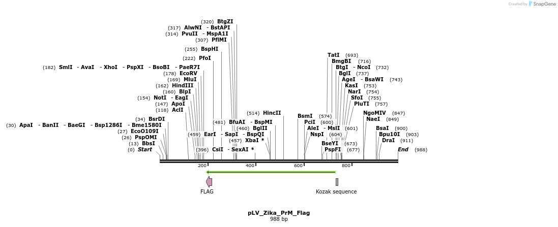 151131_map