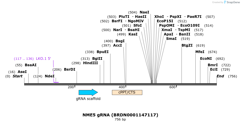 151132_map