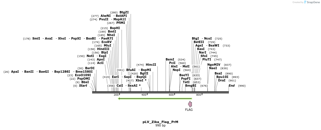 151135_map