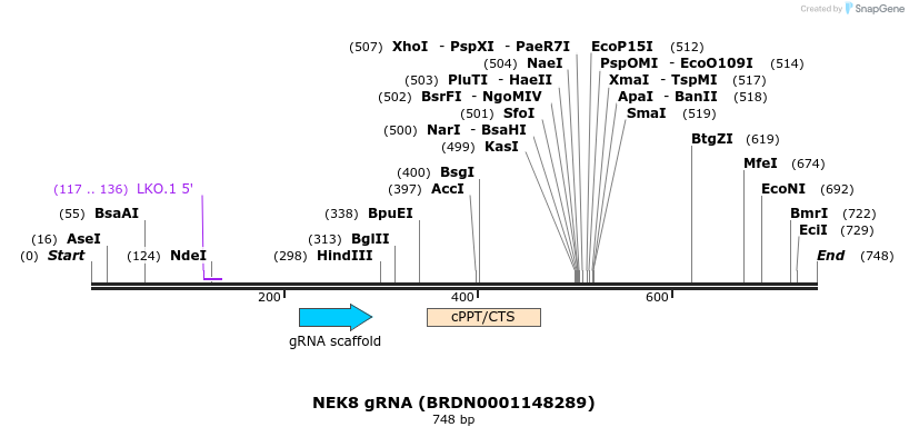 151138_map