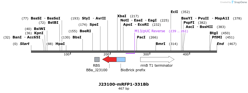 151142_map