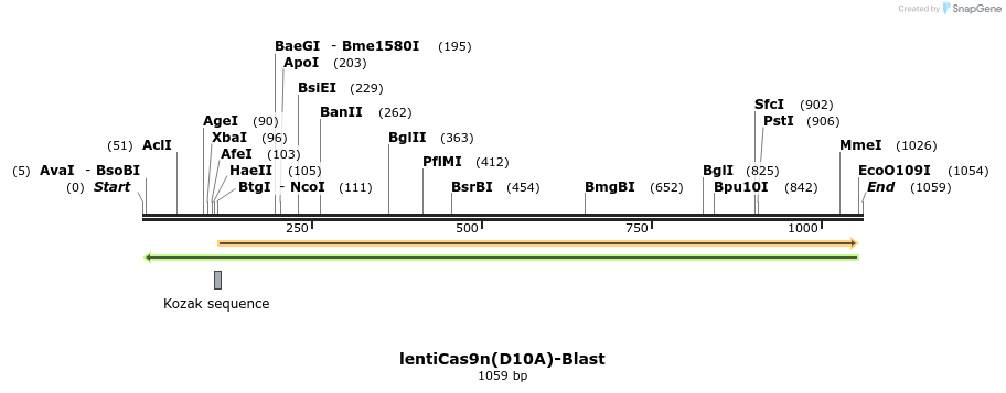 151145_map