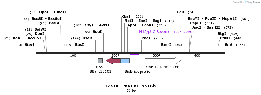 151147_map