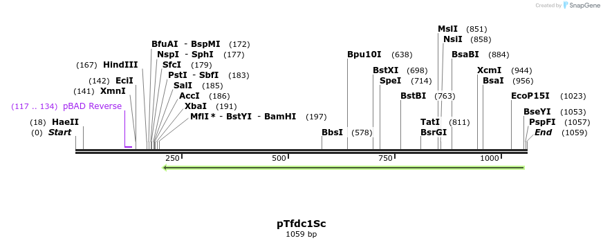 151149_map