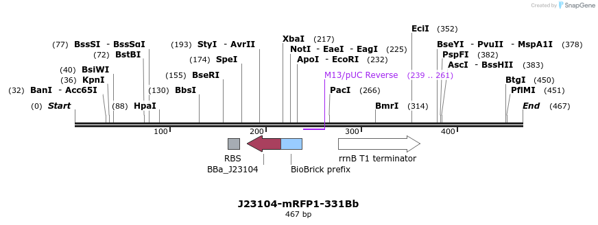 151150_map