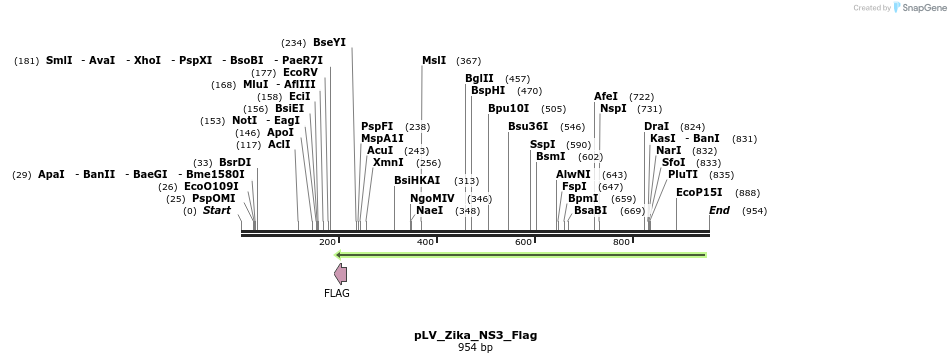 151153_map