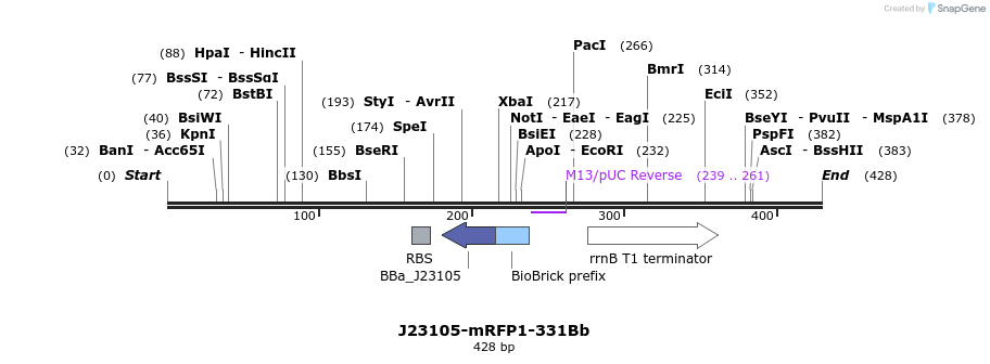 151157_map