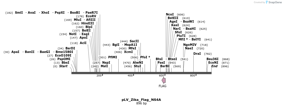 151158_map