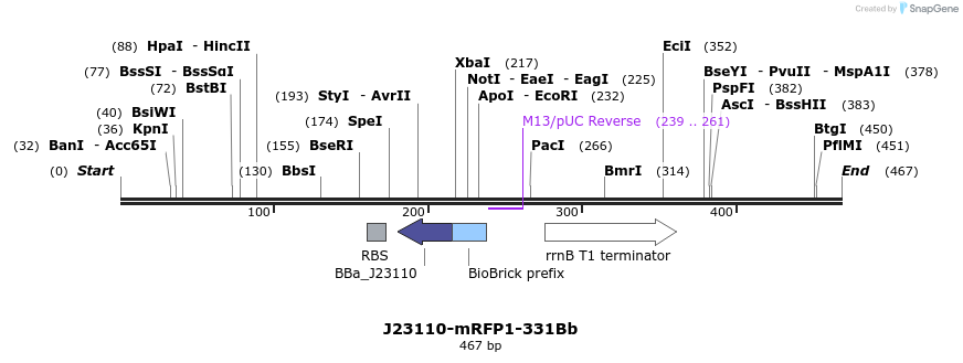 151159_map
