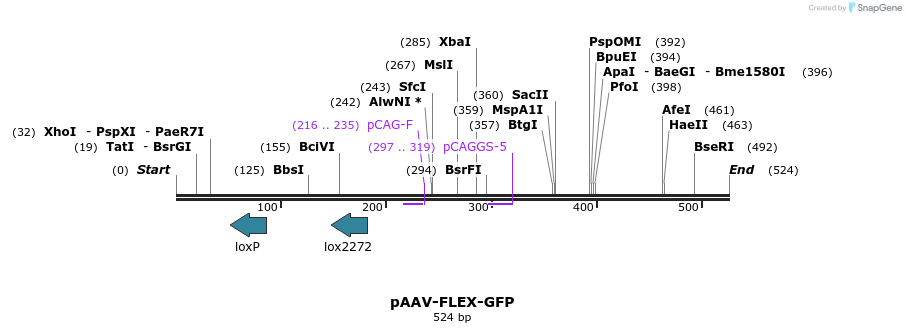 151163_map