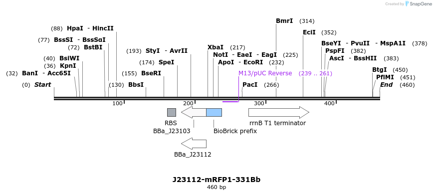 151164_map