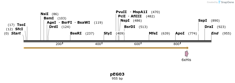 151165_map