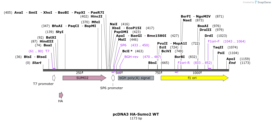 151166_map