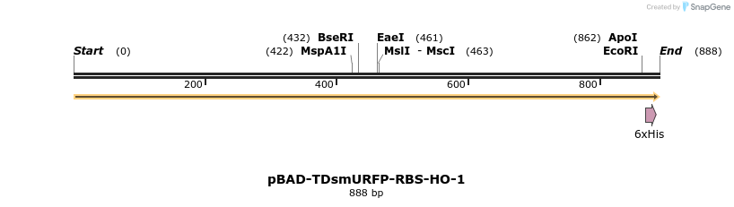151176_map