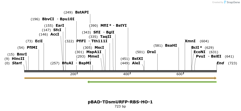 151177_map