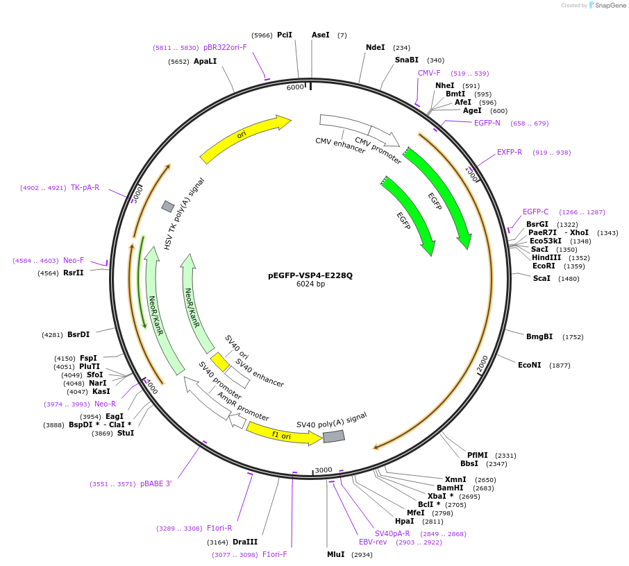 151179_map