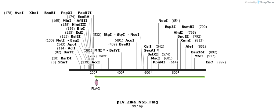 151180_map