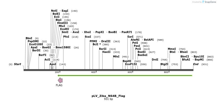 151185_map