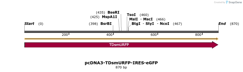 151187_map
