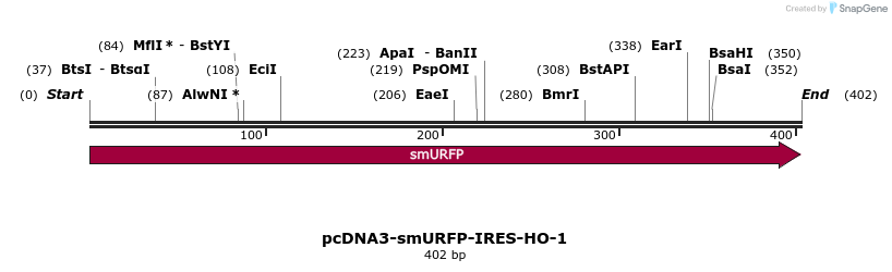 151191_map