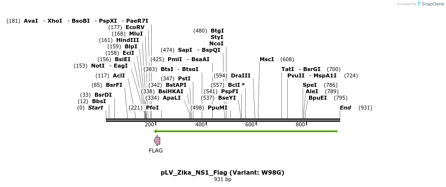 151196_map