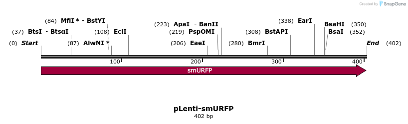 151198_map