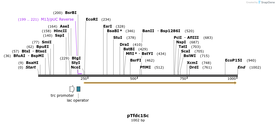 151199_map