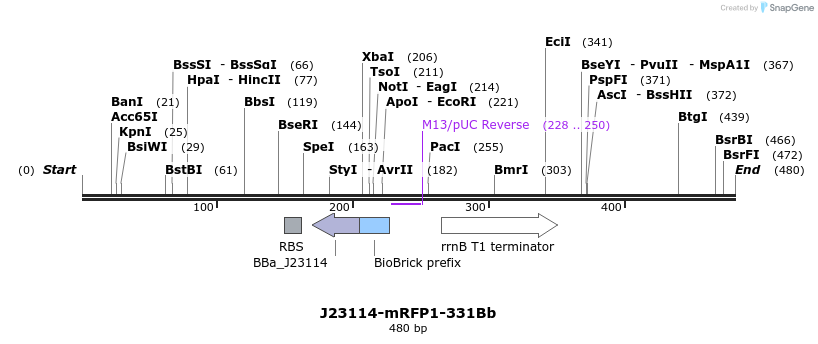 151201_map