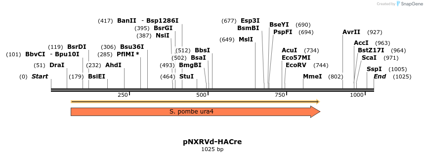 151202_map