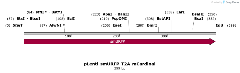 151204_map