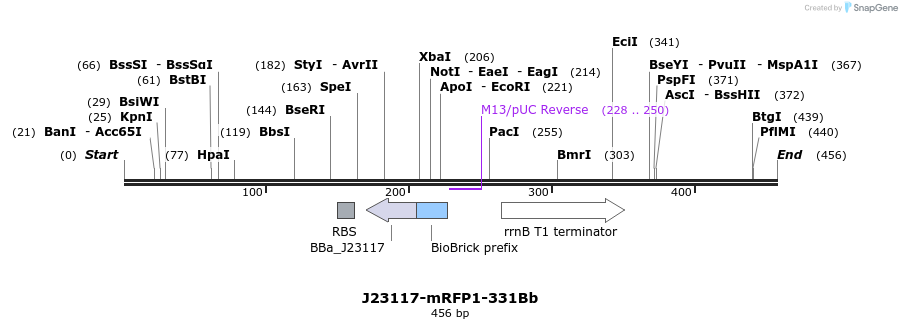 151206_map