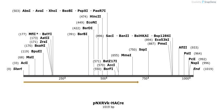 151211_map