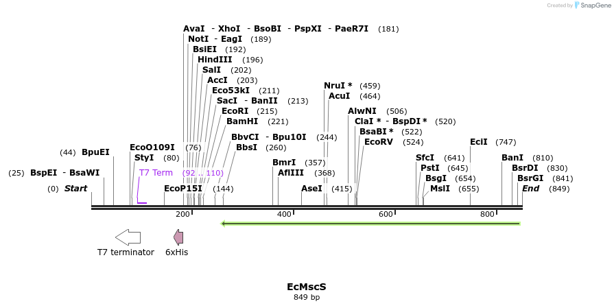 151214_map