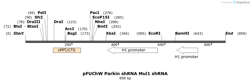 151215_map