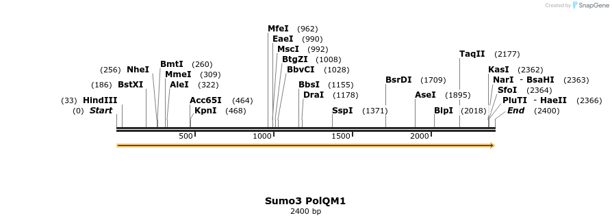 151226_map
