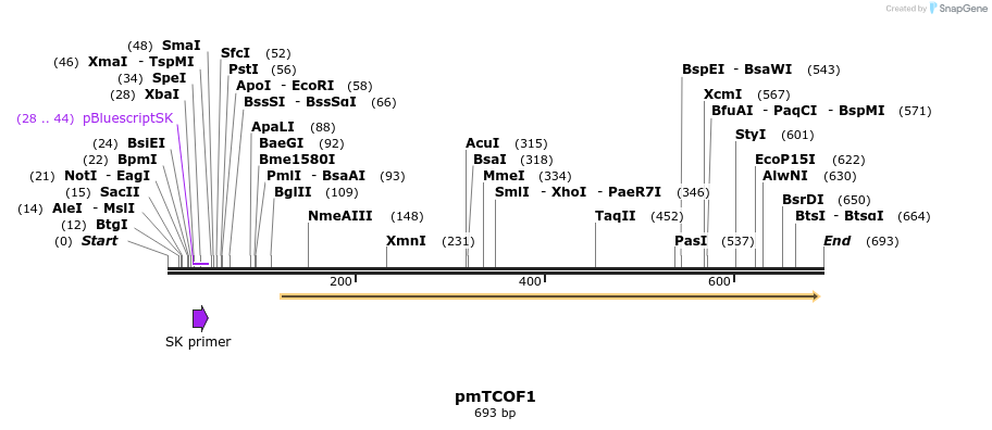 151227_map