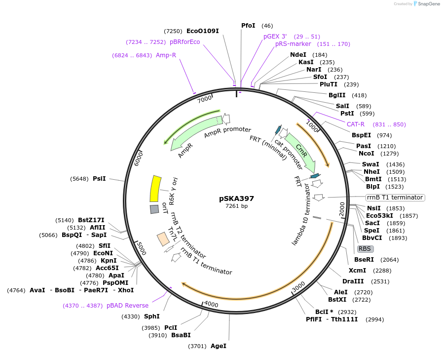 151229_map
