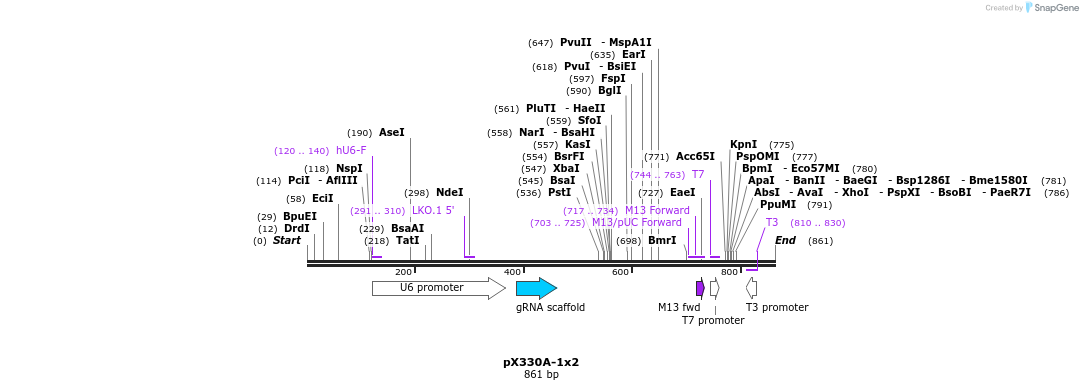 151234_map