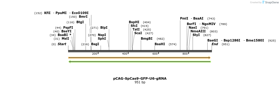 151239_map
