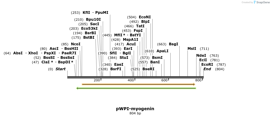 151240_map