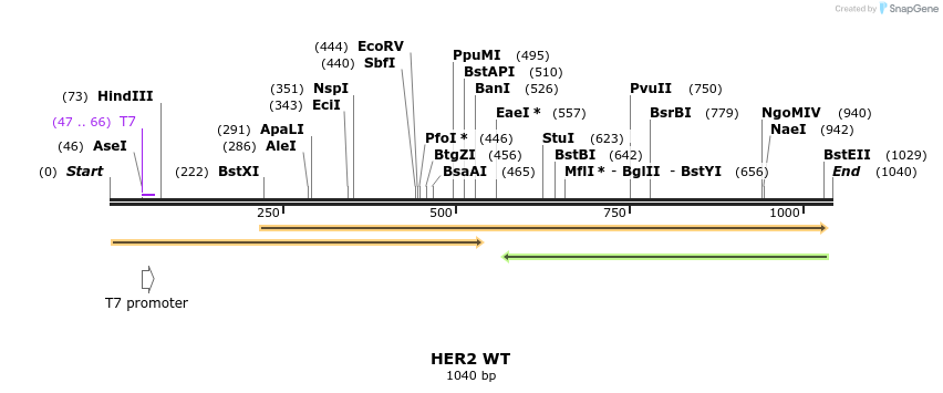151244_map