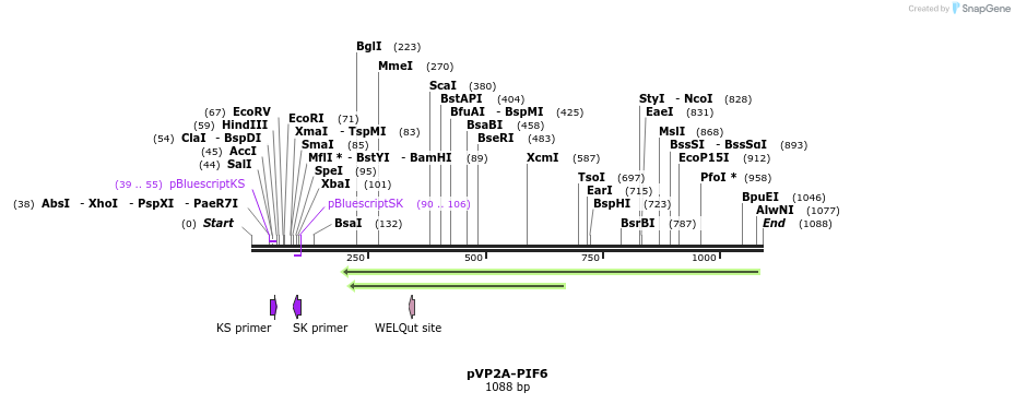 151255_map