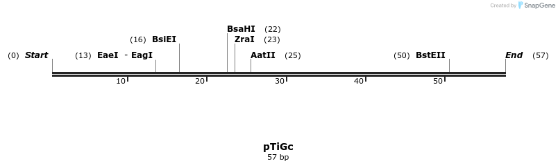 151261_map