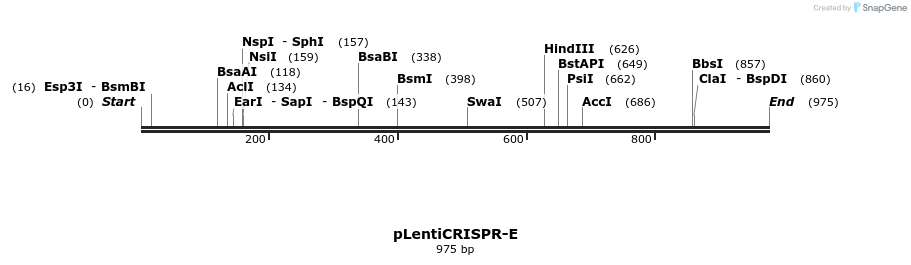 151262_map