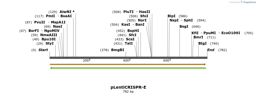 151263_map