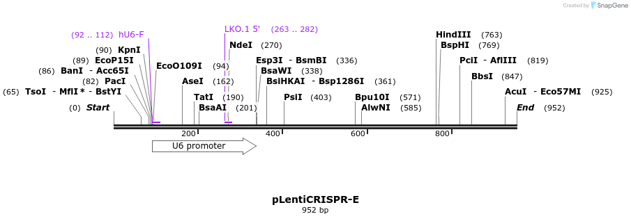 151264_map